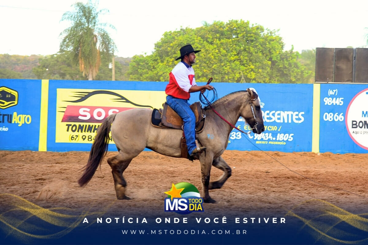 Imagem da Galeria